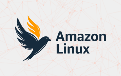 Máquinas AMI Amazon Linux 2023 – Junio 2025