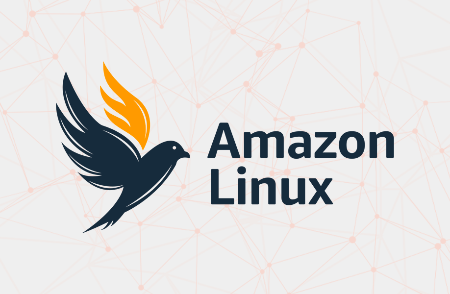 Máquinas AMI Amazon Linux 2023 – Junio 2025